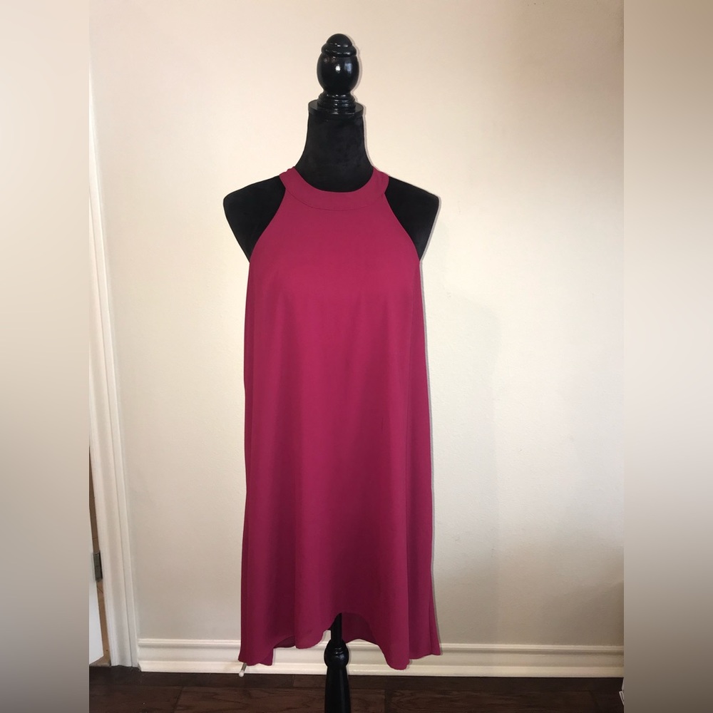 ASTER T-back Pink Dress - Size Large